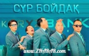 Қазақша фильм: Сүрбойдақ телехикаясы (9 бөлім)