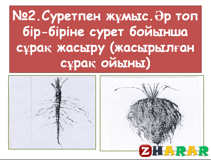 Презентация (слайд): Биология| Тамырдың түр өзгерістері қазақша презентация слайд, Презентация (слайд): Биология| Тамырдың түр өзгерістері казакша презентация слайд, Презентация (слайд): Биология| Тамырдың түр өзгерістері презентация слайд на казахском