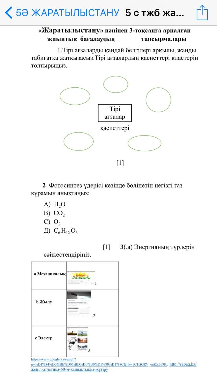 Жаратылыстану (5 сынып | 1, 2, 3, 4 тоқсан) - kz »Жиынтық баға