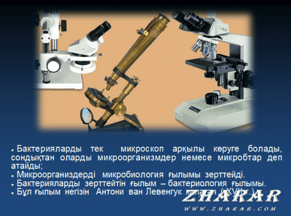 Биология презентация қазақша