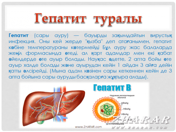 Biologiya 6 klass kazaksha test zhauaptarimen results