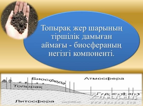 Адам экологиясы презентация