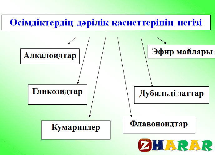 Өсімдіктер әлемі тех карта