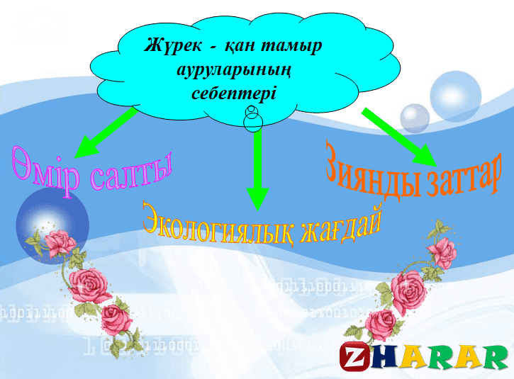 Жүрек қан тамырлар жүйесі презентация