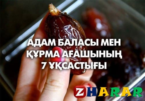 АДАМ БАЛАСЫ МЕН ҚҰРМА АҒАШЫНЫҢ 7 ҰҚСАСТЫҒЫ казакша АДАМ БАЛАСЫ МЕН ҚҰРМА АҒАШЫНЫҢ 7 ҰҚСАСТЫҒЫ на казахском языке