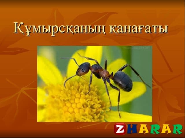  Құмырсқаның қанағаты «Бабалар сөзі» 100 томдық 73- том  (3 сынып, I токсан)