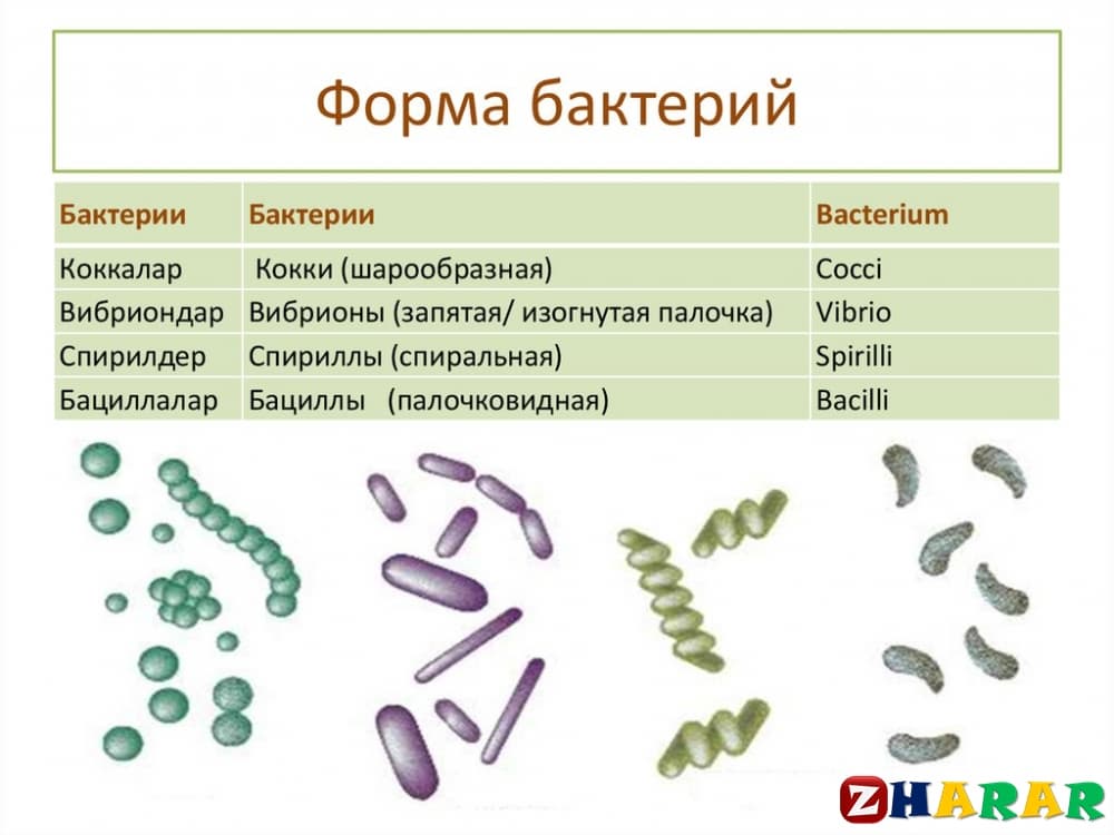 Биология 7 сынып