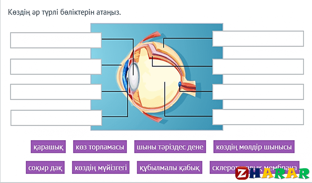 Көз тимесін картинка