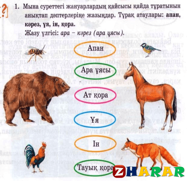 Жануарлар әлемі презентация