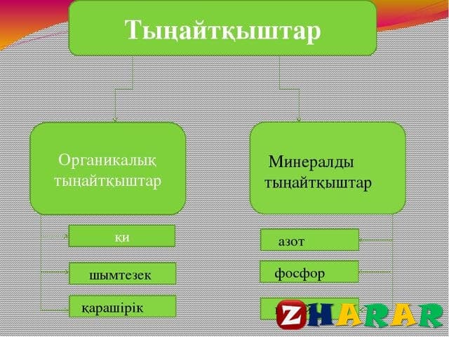 Минералды заттар презентация