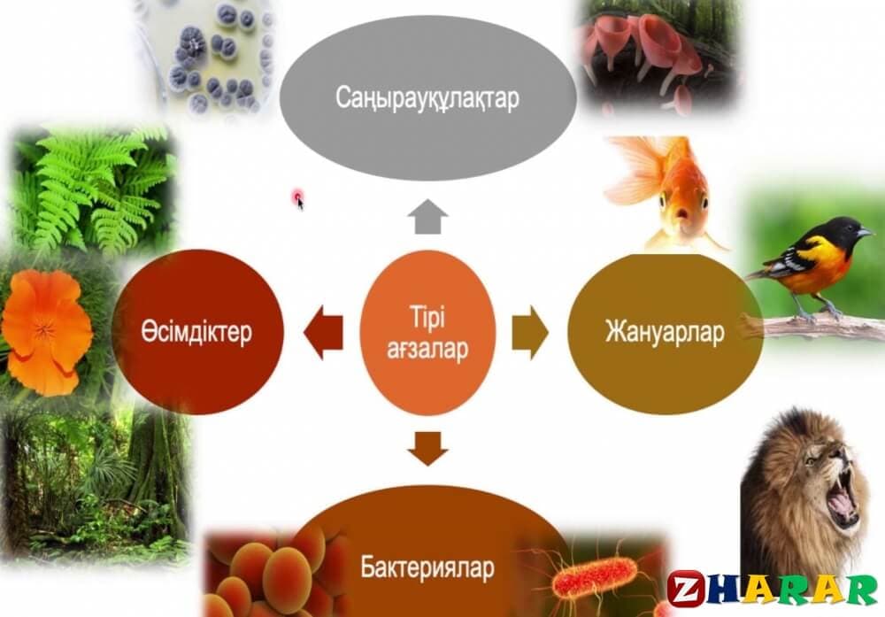 Биология 7 сынып. Биология Тируу организмдер. Биология 5 сынып онлайн. Тірі организмге не тән. Минималь бал елэ биология.