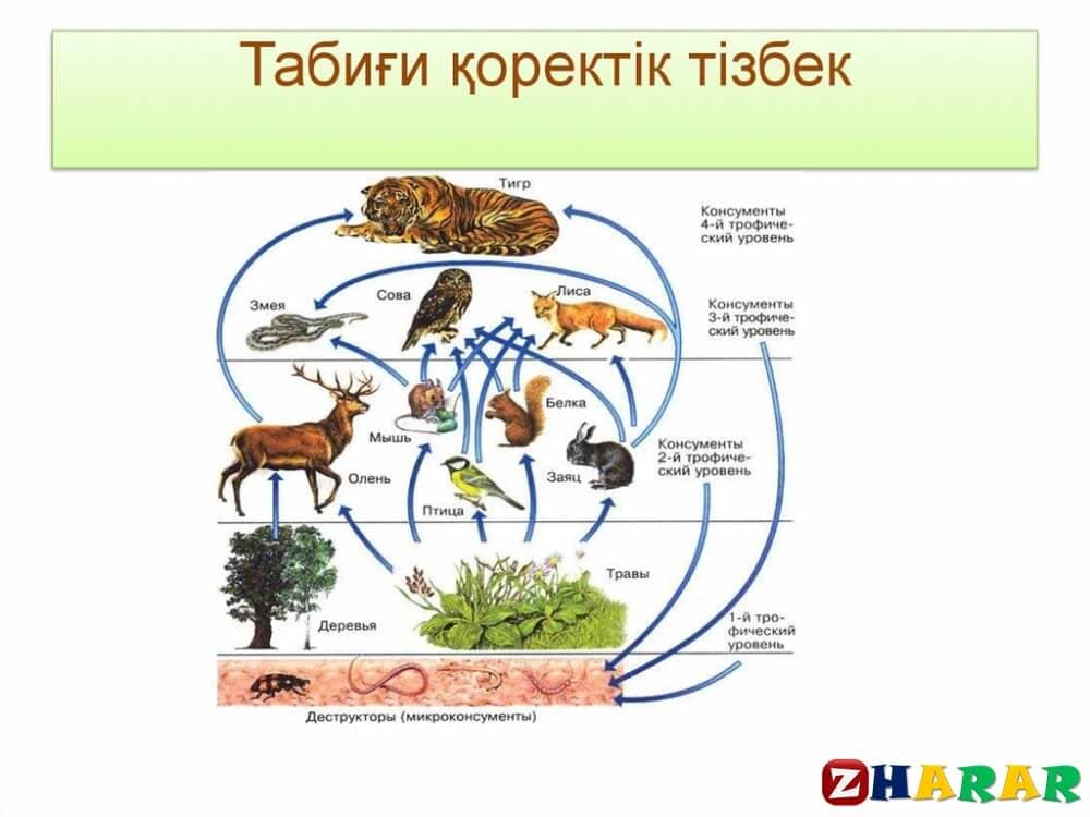 Биология 7 сынып