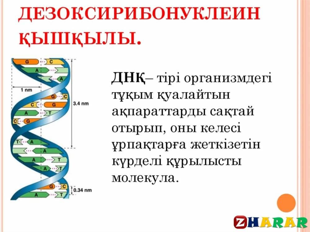 Архитектура және құрылыс