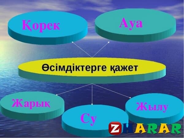 Өсімдіктерді қалай күту қажет жаратылыстану тех карта