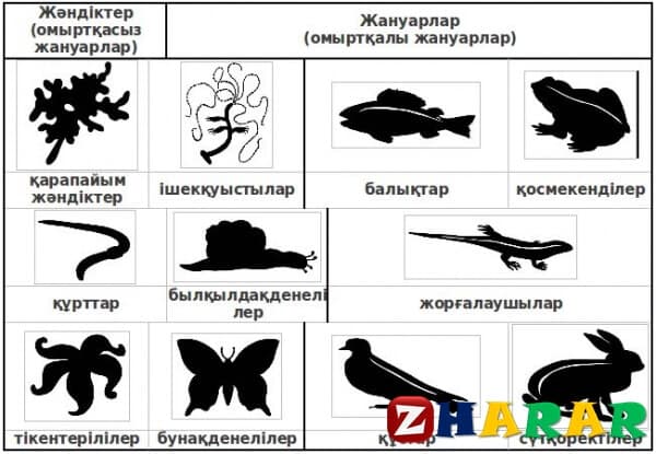 Жануарлар жауыннан қалай қорғанады жаратылыстану тех карта