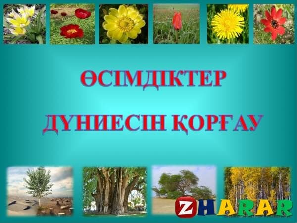 Сирек кездесетін және жойылып бара жатқан өсімдіктер мен жануарлардың түрлерін қорғау презентация